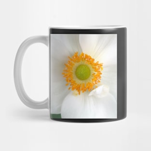 White Blooming Flower to Brighten Your Day in All Ways! Mug